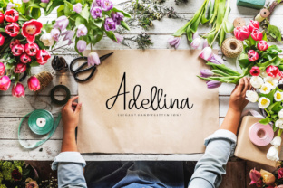 Adellina: The Elegant Script Font for Modern Brands