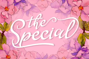 Designing Elegant Brands with The Special Script Font