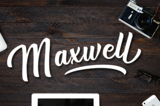 Maxwell Font Review: A Painterly Script for Modern Logos